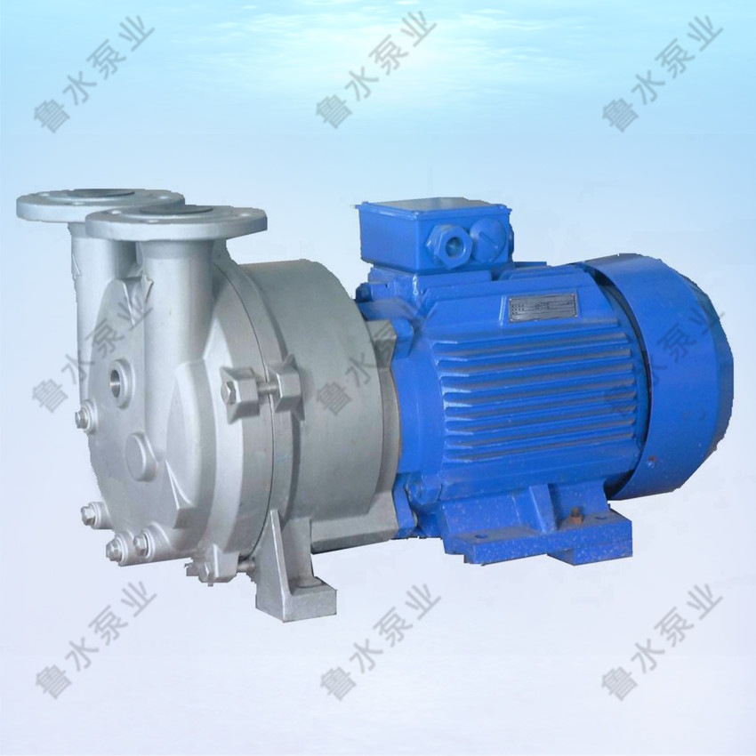 2BV水環式真(zhēn)空泵