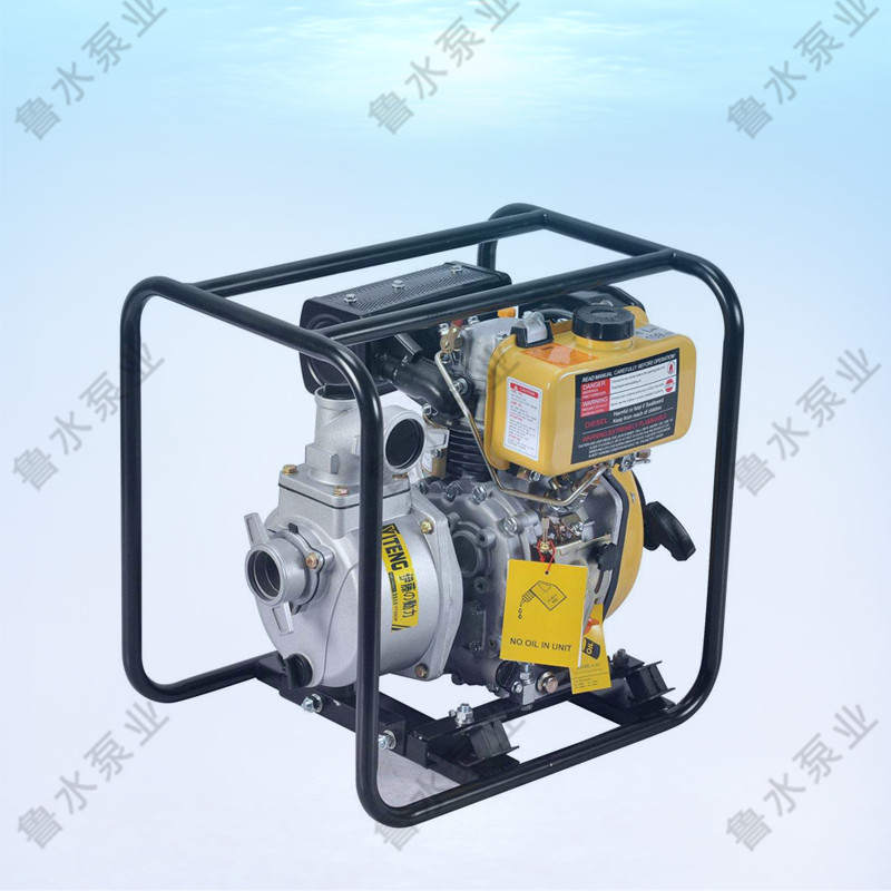 便攜(xié)式柴油機泵